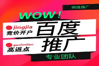 百度推广的长期效果评估与优化